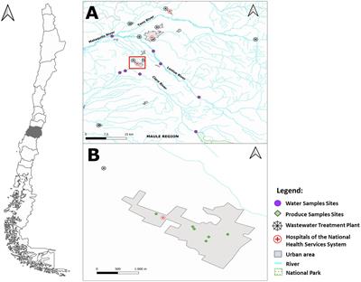 Isolation of Ciprofloxacin and Ceftazidime-Resistant Enterobacterales From Vegetables and River Water Is Strongly Associated With the Season and the Sample Type